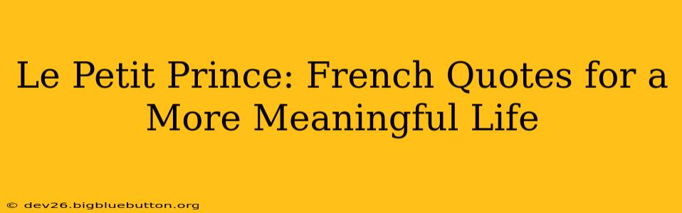 Le Petit Prince: French Quotes for a More Meaningful Life