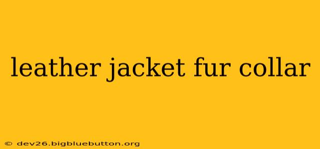 leather jacket fur collar