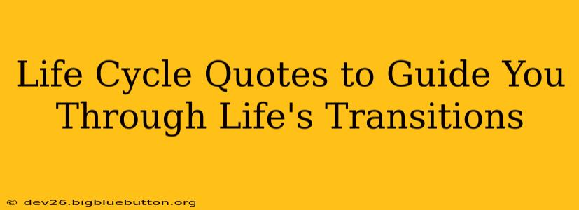 Life Cycle Quotes to Guide You Through Life's Transitions