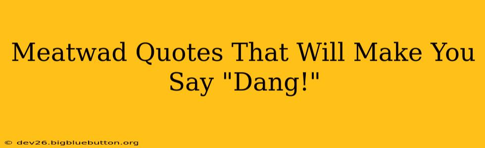 Meatwad Quotes That Will Make You Say "Dang!"