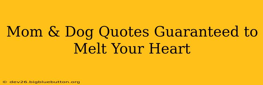 Mom & Dog Quotes Guaranteed to Melt Your Heart