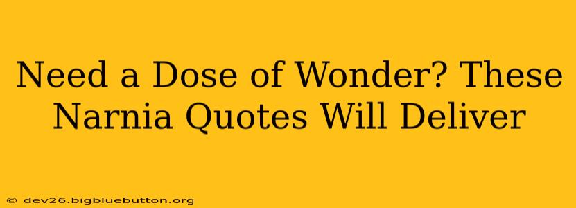 Need a Dose of Wonder? These Narnia Quotes Will Deliver