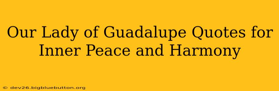 Our Lady of Guadalupe Quotes for Inner Peace and Harmony