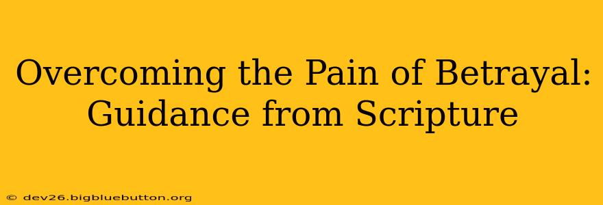 Overcoming the Pain of Betrayal: Guidance from Scripture