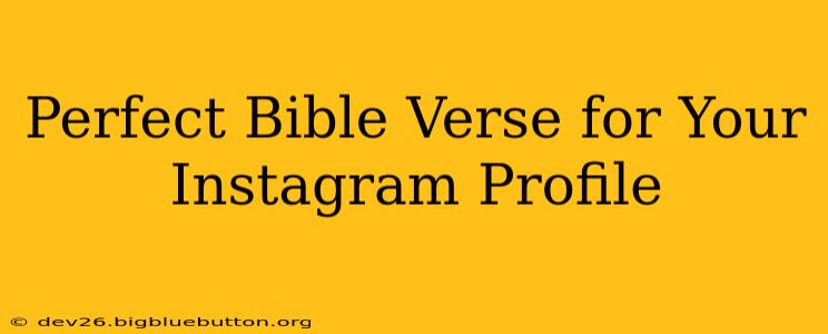Perfect Bible Verse for Your Instagram Profile