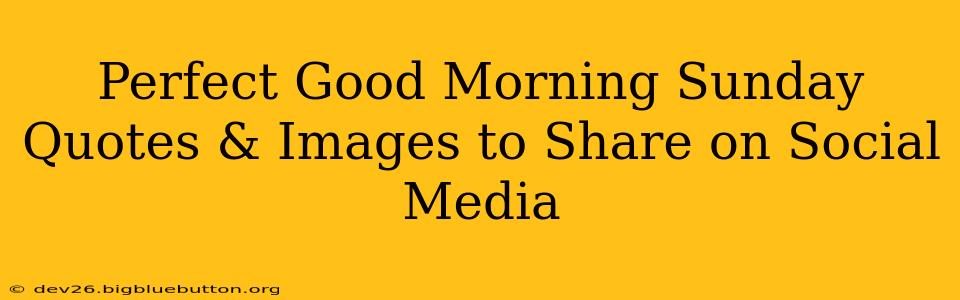 Perfect Good Morning Sunday Quotes & Images to Share on Social Media