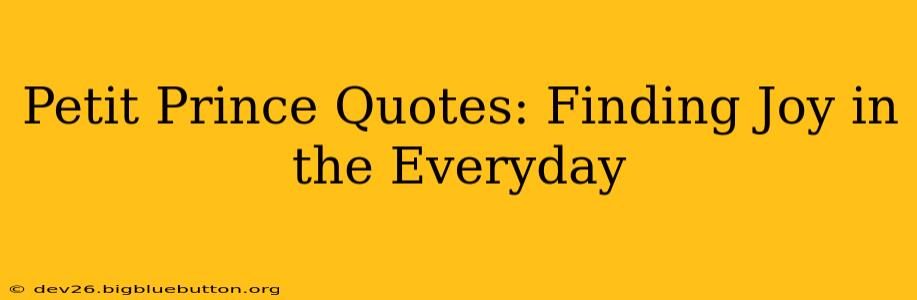 Petit Prince Quotes: Finding Joy in the Everyday