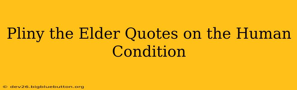 Pliny the Elder Quotes on the Human Condition
