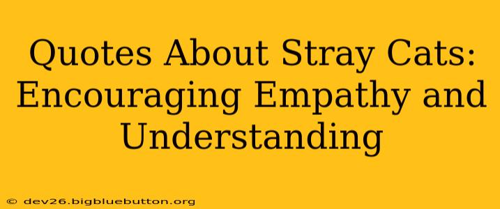Quotes About Stray Cats: Encouraging Empathy and Understanding