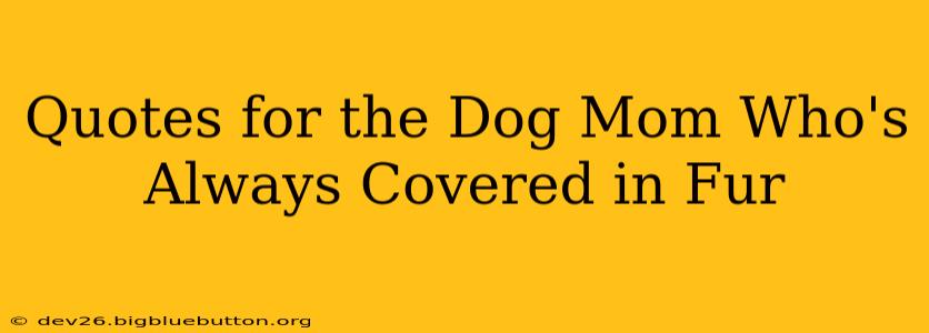 Quotes for the Dog Mom Who's Always Covered in Fur