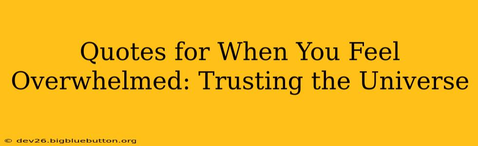 Quotes for When You Feel Overwhelmed: Trusting the Universe