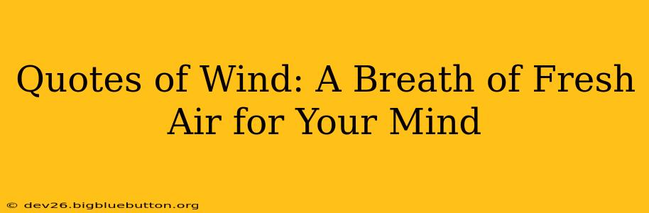 Quotes of Wind: A Breath of Fresh Air for Your Mind