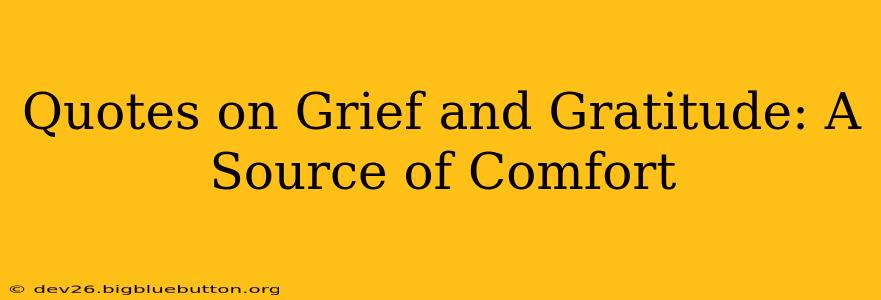 Quotes on Grief and Gratitude: A Source of Comfort