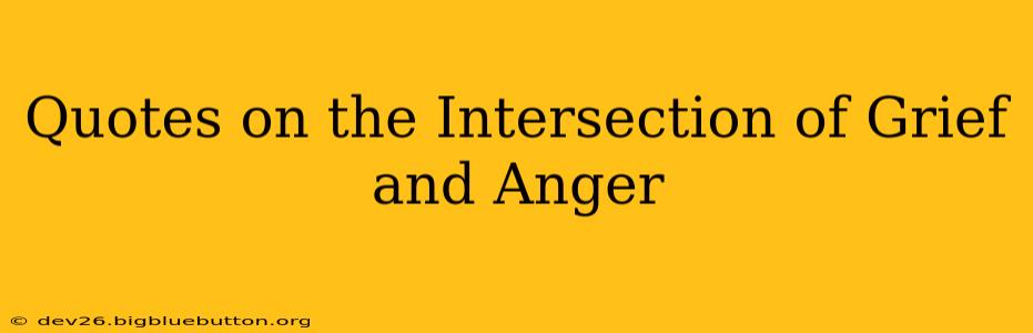 Quotes on the Intersection of Grief and Anger