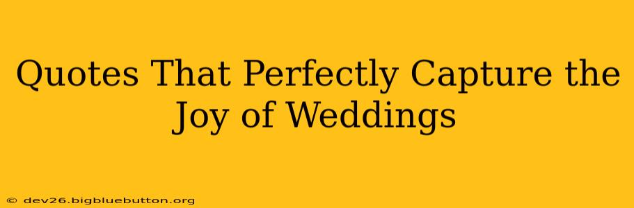 Quotes That Perfectly Capture the Joy of Weddings