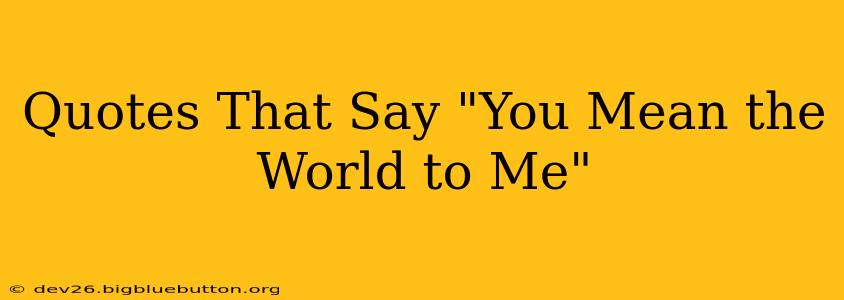 Quotes That Say "You Mean the World to Me"
