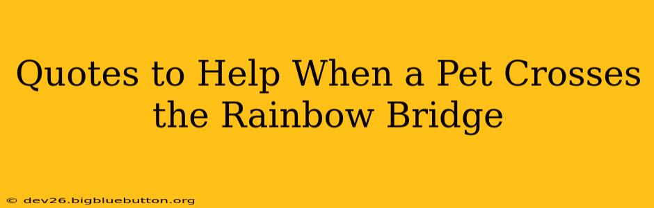 Quotes to Help When a Pet Crosses the Rainbow Bridge