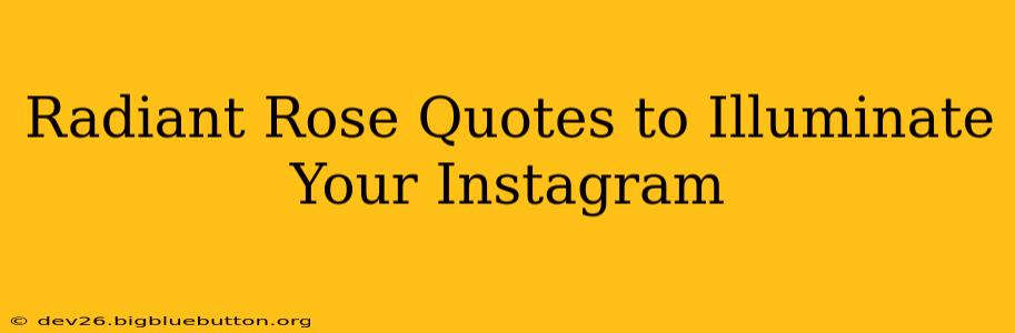 Radiant Rose Quotes to Illuminate Your Instagram
