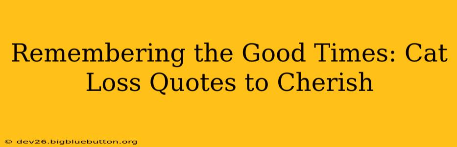 Remembering the Good Times: Cat Loss Quotes to Cherish