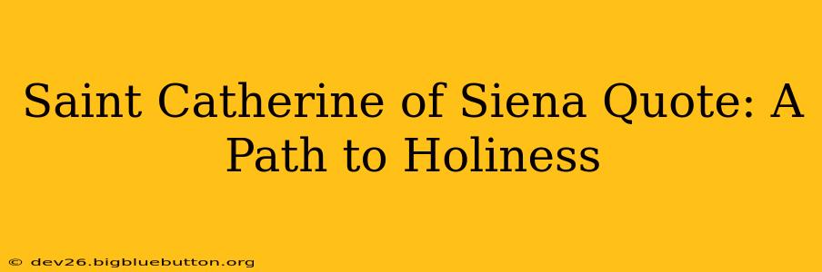 Saint Catherine of Siena Quote: A Path to Holiness