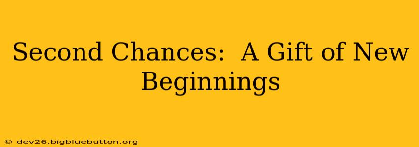 Second Chances:  A Gift of New Beginnings
