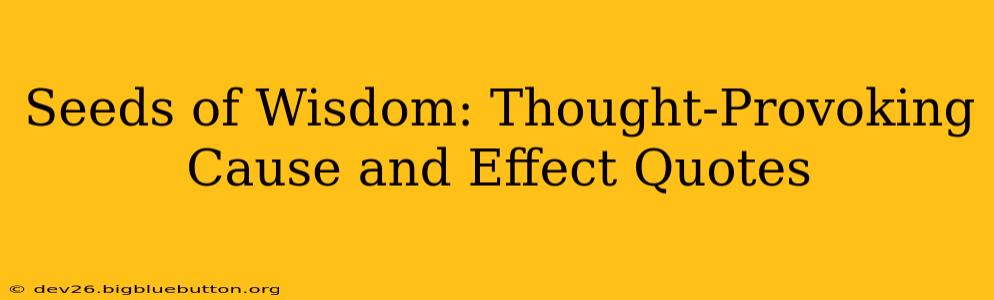 Seeds of Wisdom: Thought-Provoking Cause and Effect Quotes
