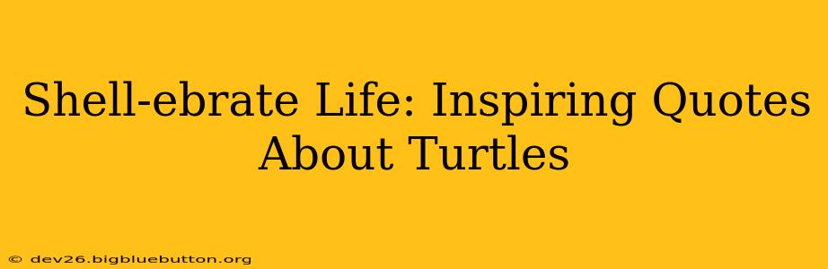 Shell-ebrate Life: Inspiring Quotes About Turtles