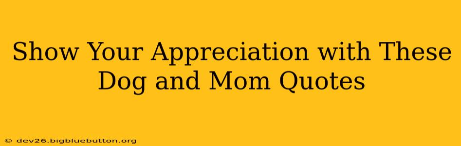 Show Your Appreciation with These Dog and Mom Quotes