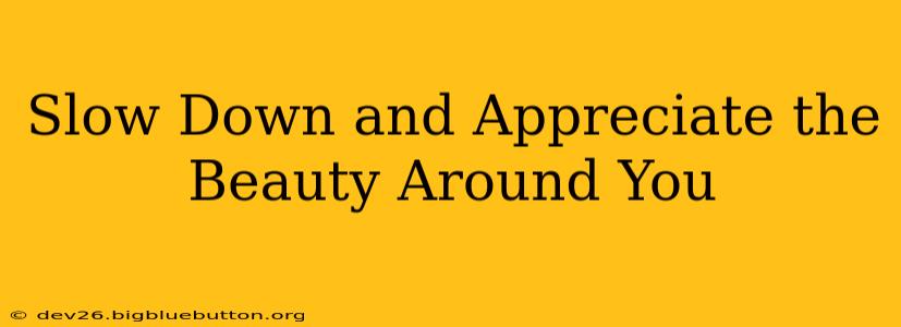 Slow Down and Appreciate the Beauty Around You