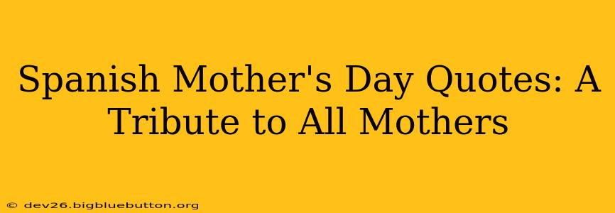 Spanish Mother's Day Quotes: A Tribute to All Mothers