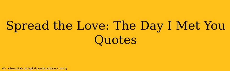 Spread the Love: The Day I Met You Quotes