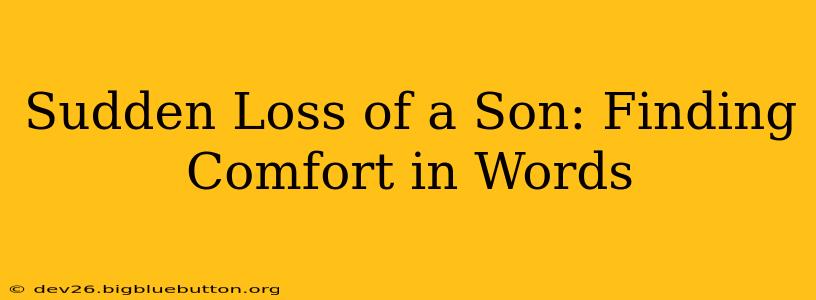 Sudden Loss of a Son: Finding Comfort in Words