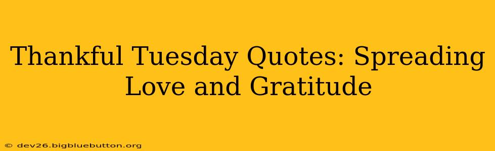 Thankful Tuesday Quotes: Spreading Love and Gratitude