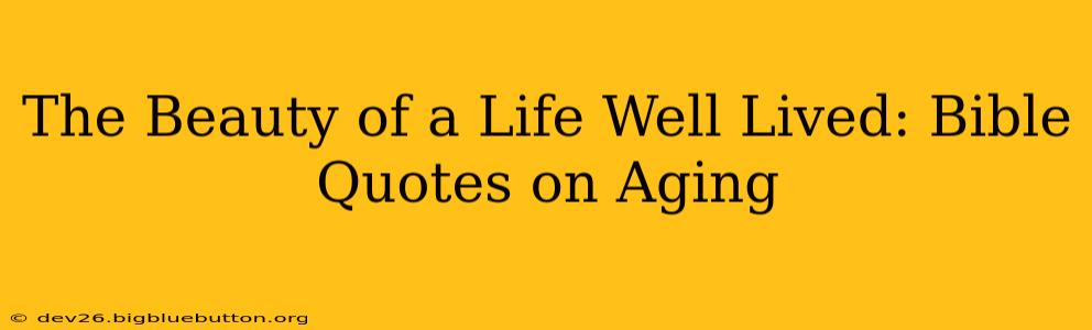 The Beauty of a Life Well Lived: Bible Quotes on Aging
