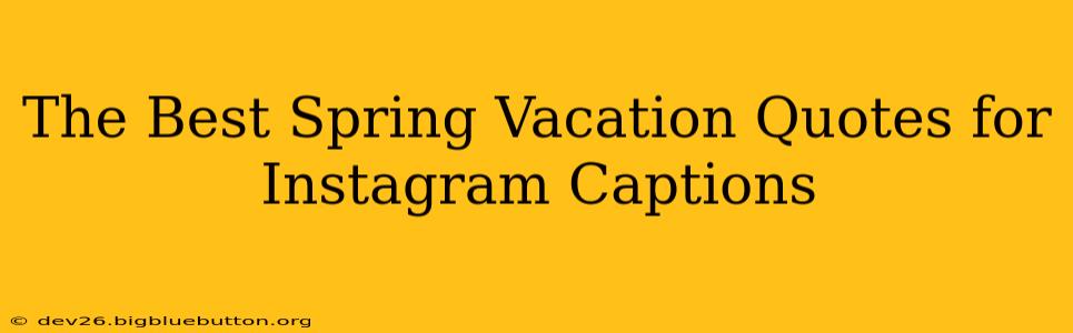 The Best Spring Vacation Quotes for Instagram Captions