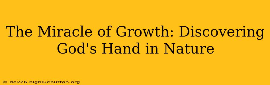 The Miracle of Growth: Discovering God's Hand in Nature