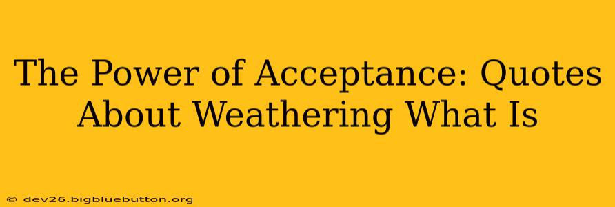 The Power of Acceptance: Quotes About Weathering What Is