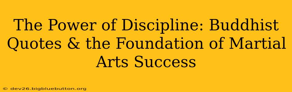 The Power of Discipline: Buddhist Quotes & the Foundation of Martial Arts Success