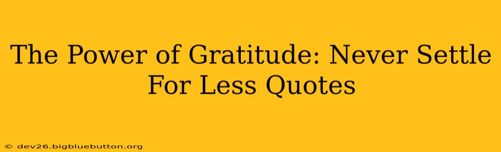 The Power of Gratitude: Never Settle For Less Quotes