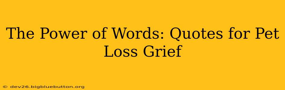 The Power of Words: Quotes for Pet Loss Grief