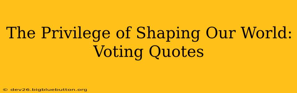 The Privilege of Shaping Our World: Voting Quotes