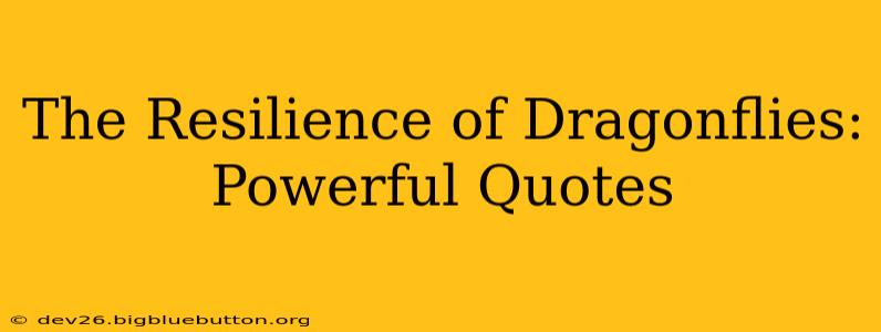 The Resilience of Dragonflies: Powerful Quotes