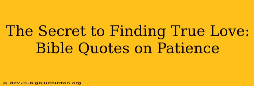 The Secret to Finding True Love: Bible Quotes on Patience
