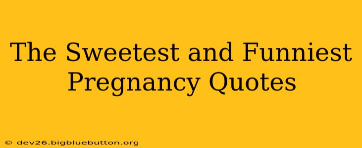 The Sweetest and Funniest Pregnancy Quotes