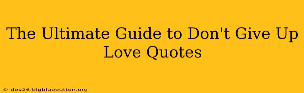 The Ultimate Guide to Don't Give Up Love Quotes