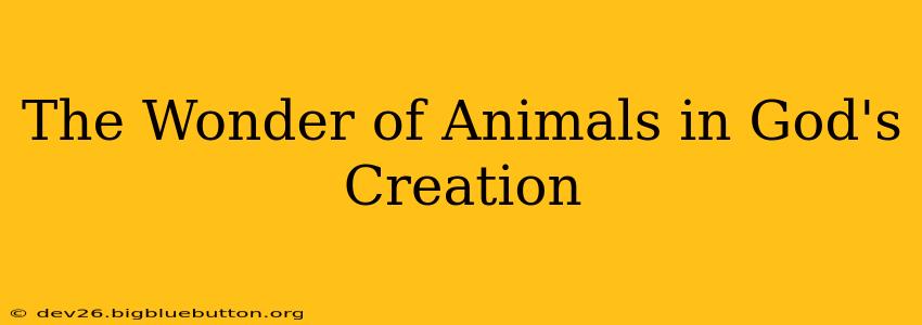 The Wonder of Animals in God's Creation