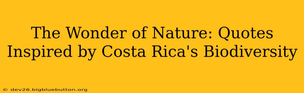 The Wonder of Nature: Quotes Inspired by Costa Rica's Biodiversity