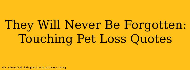 They Will Never Be Forgotten:  Touching Pet Loss Quotes