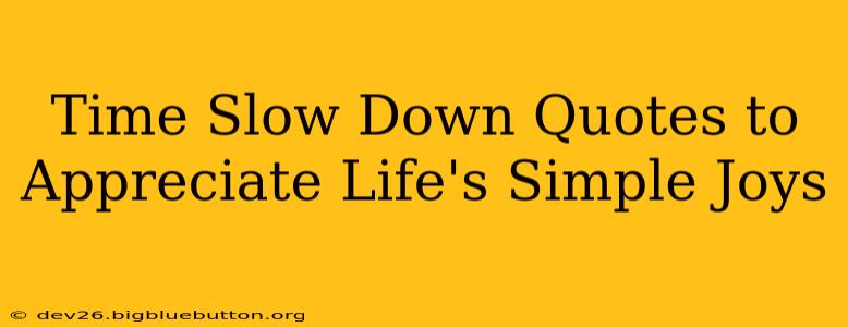 Time Slow Down Quotes to Appreciate Life's Simple Joys