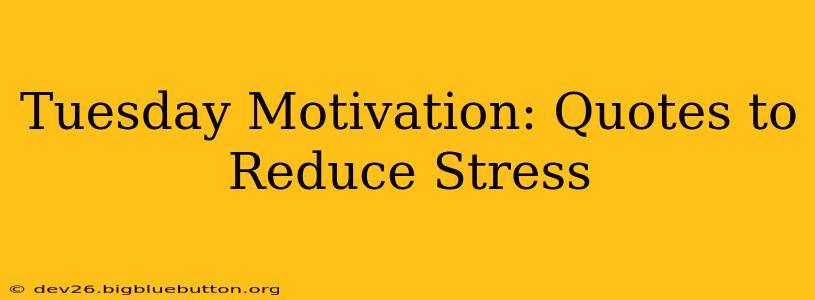 Tuesday Motivation: Quotes to Reduce Stress